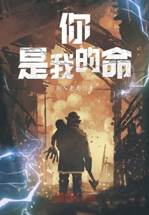 都市之战婿归来